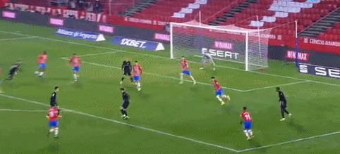 20支世界劲旅南山挥桨，2025大沙河赛艇邀请赛圆满收官